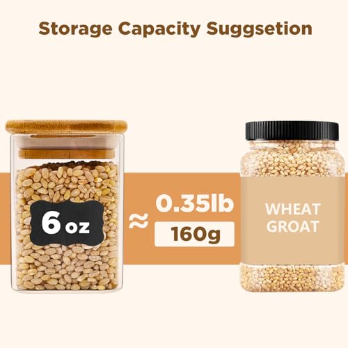 Glass Food Storage Jars Square 6oz (16 Count)