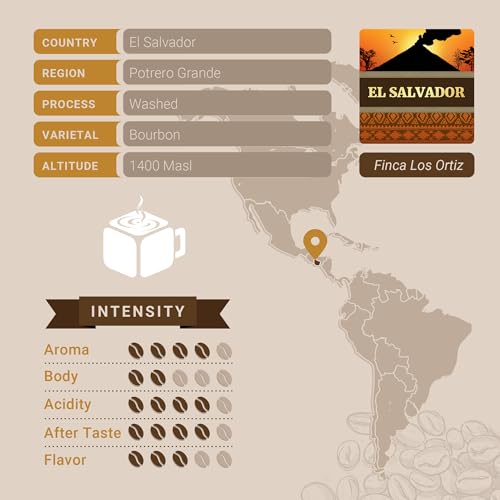 Medium Roast El Salvador Single Origin Coffee Pods (10 Count)