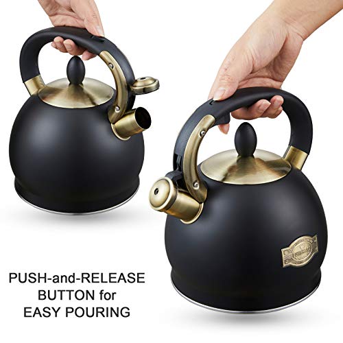 Stove Top Whistling Tea Kettle