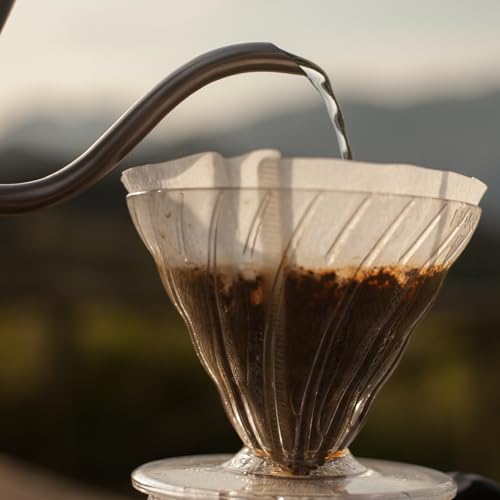 V60 Paper Coffee Filter (100 Count)