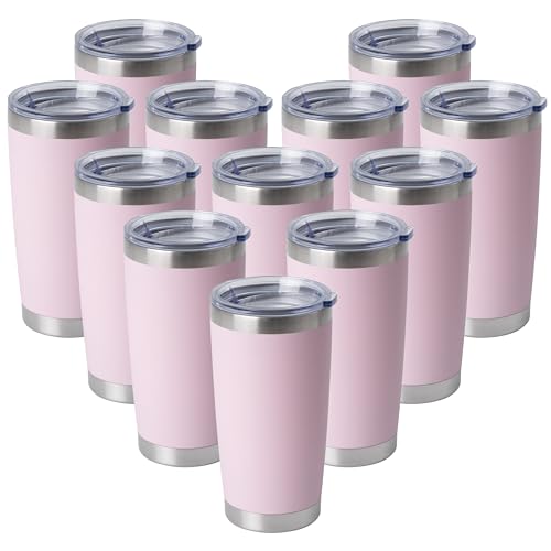 20oz Stainless Steel Tumblers Bulk (12 Count)