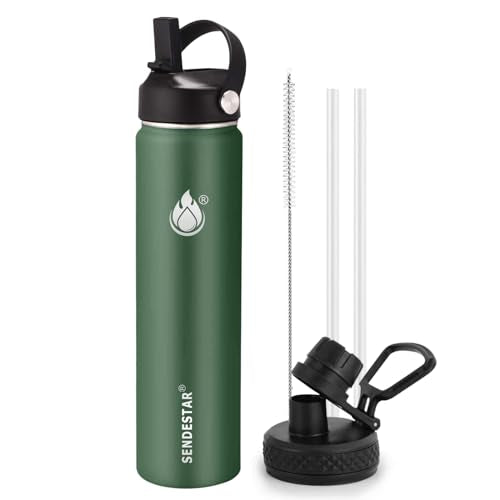 Insulated Water Bottle 24 oz with Straw