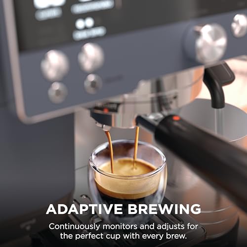 Luxe Café Premier Espresso & Rapid Cold Brew