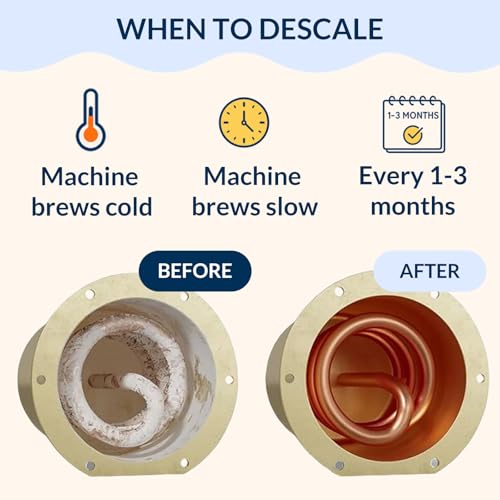 Nespresso Compatible Vertuo Cleaning & Descaling Kit (8 Ounce)