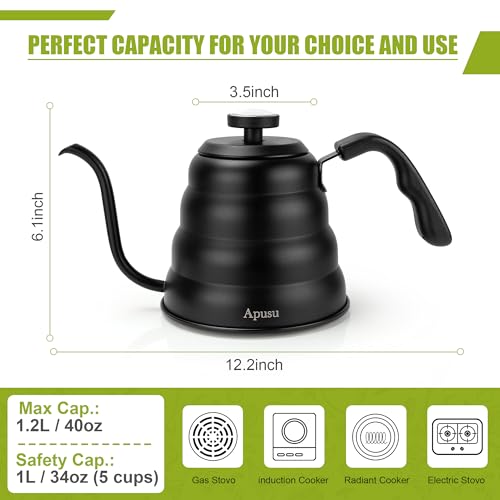 Tea Kettle with Thermometer