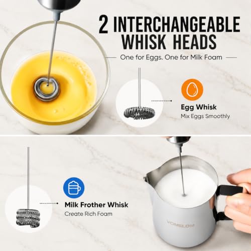 Milk Frother Handheld