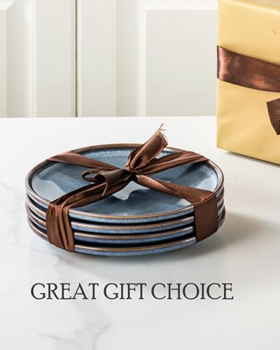 11 Inch Ceramic Dinner Plates Set of 4 (4 Count)