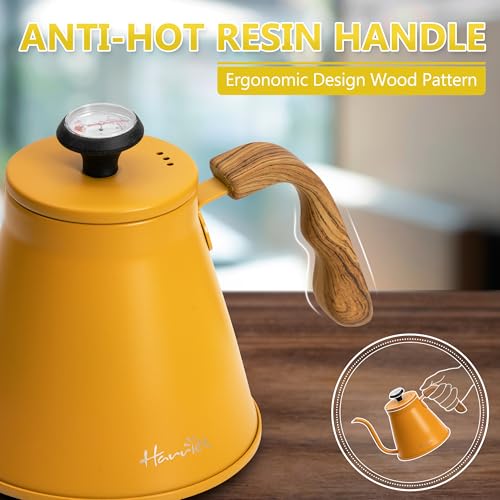 Gooseneck Kettle with Thermometer for Pour Over Coffee and Tea