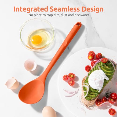 Silicone Spoons Set of 2