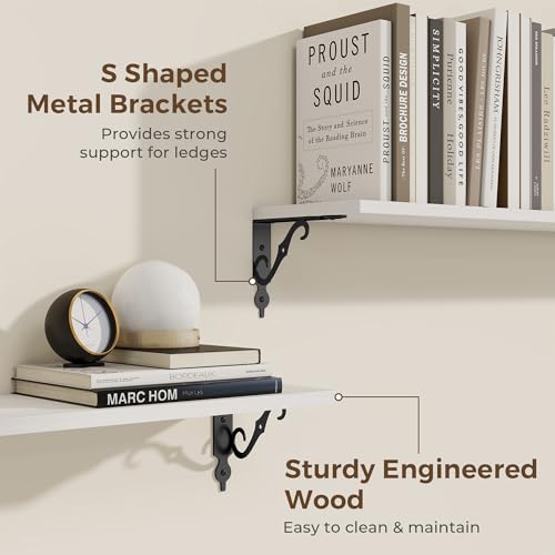 Floating Shelves for Wall Decor (2 Count)