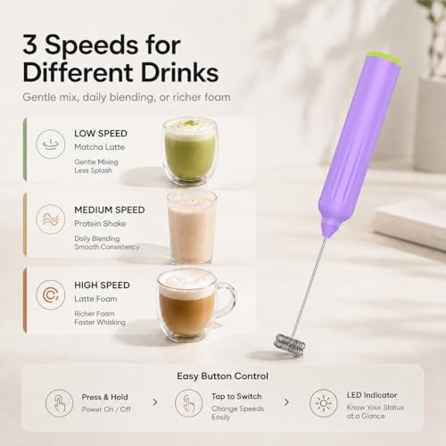 Milk Frother Handheld with 3 Stainless Steel Whisks
