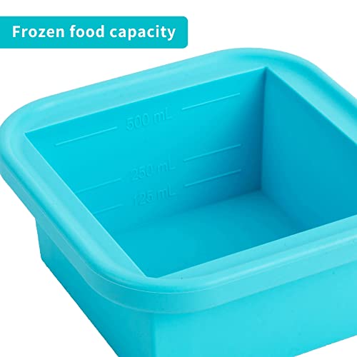 Silicone Freezing Tray with Lid