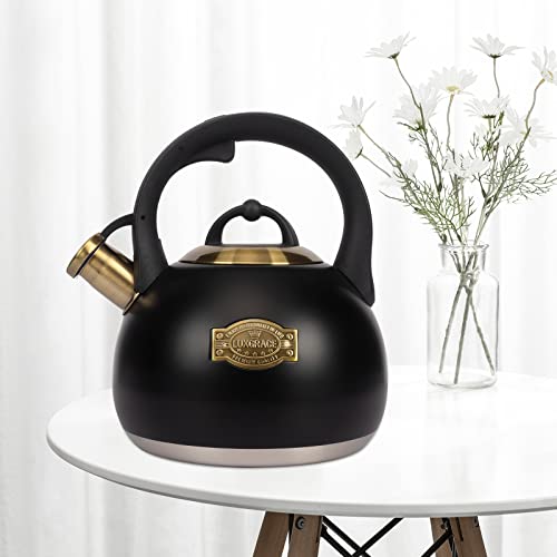 Tea Kettle for Stovetop