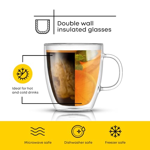 Savor Double Wall Insulated Glasses (2 Count)
