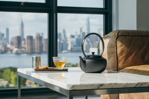 MoonKettle Electric Kettle with Temp Control