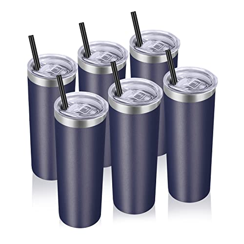 Stainless Steel Tumblers Bulk 6 Pack (6 Count)