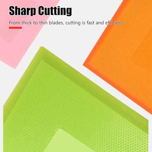 Bench Scraper (5 Count)
