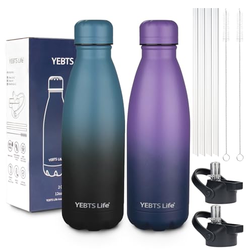 Insulated Water Bottle (2 Count)