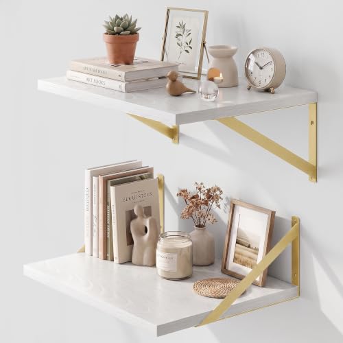 Wall Mounted Floating Shelves Set of 2 (2 Count)