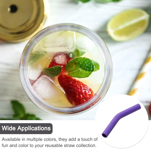 4Pcs Silicone Straw Tips (4 Count)