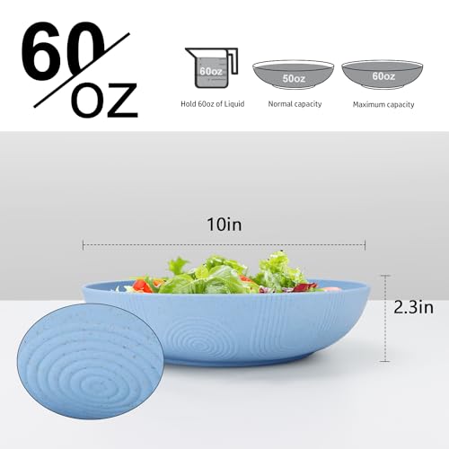 Wheat Straw Big Bowls Salad Bowl Set of 6 10 inch Serving Bowls 65 oz Large Plastic Plates Bowls Wide and Shallow Bowl for Kitchen Microwave & Dishwasher Safe