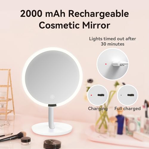 9.65 inch Lighting Makeup Mirror