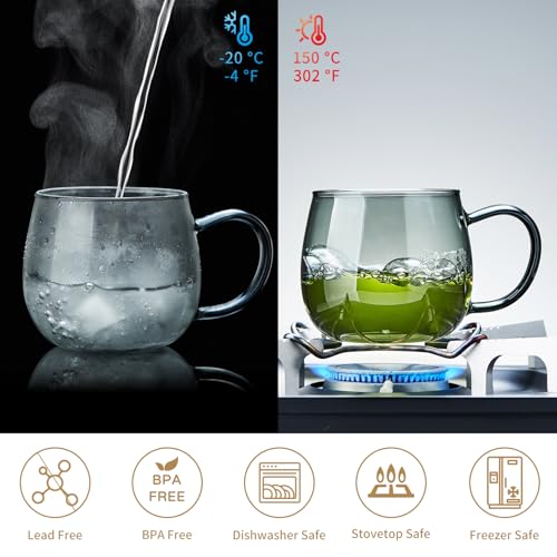 17 OZ Glass Tea Cup with Infuser and Lid (17 Fl Oz)