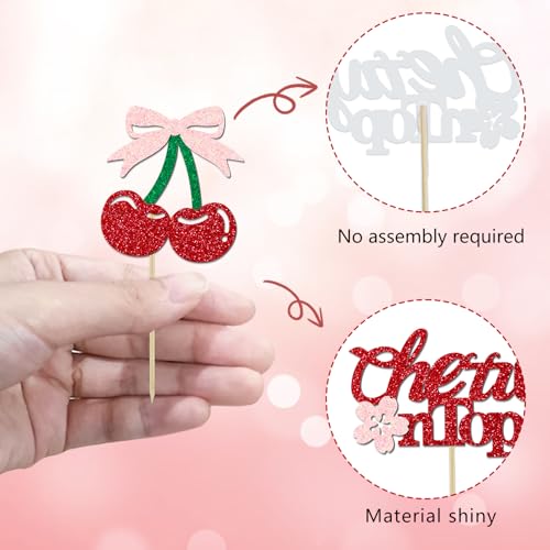 24 Pack She's the Cherry On Top Cupcake Toppers (24 Count)