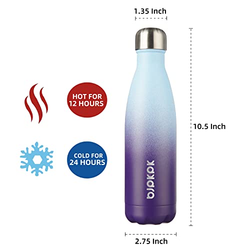 17 oz Insulated Water Bottle