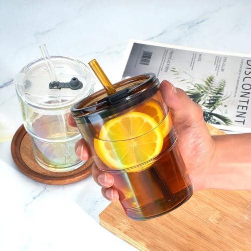 13 oz Glass Tumbler with Glass Straw and Lid (2 Count)