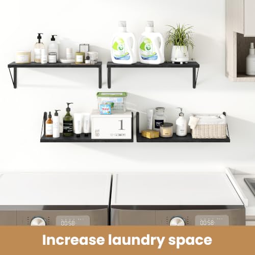 Floating Book Shelves for Wall (3 Count)