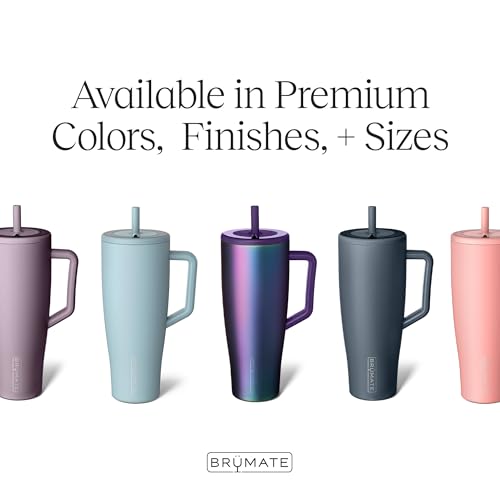 Era 40 oz Tumbler with Handle and Straw