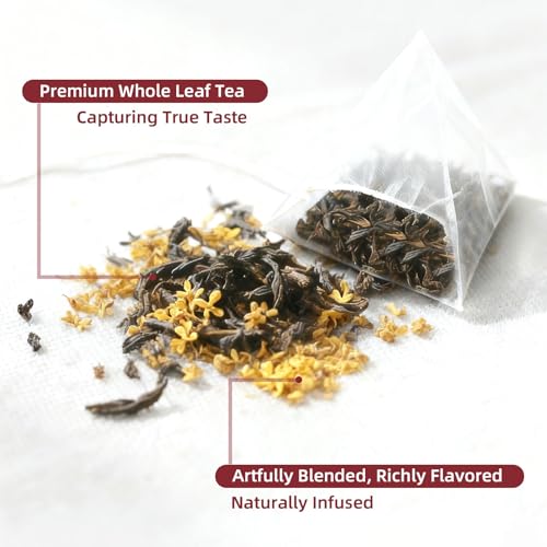 Book Tea Gift Set (60 Count)