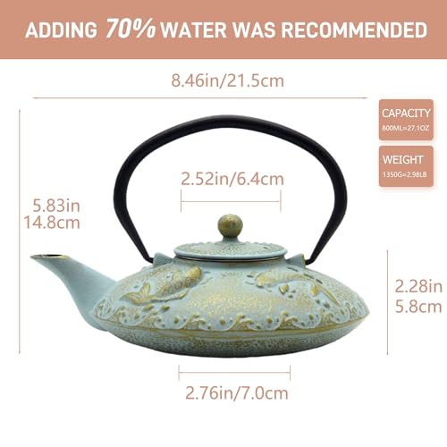 27.1oz Small Cast Iron Teapot