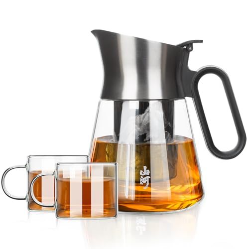 Glass Teapot with Infuser with 2 Cups for Loose Tea Steeper