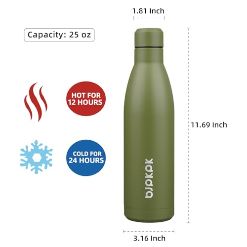 25 oz Insulated Stainless Steel Water Bottle