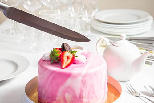 Premium Rolled Pink Fondant for Cake Decorating (16 Ounce)