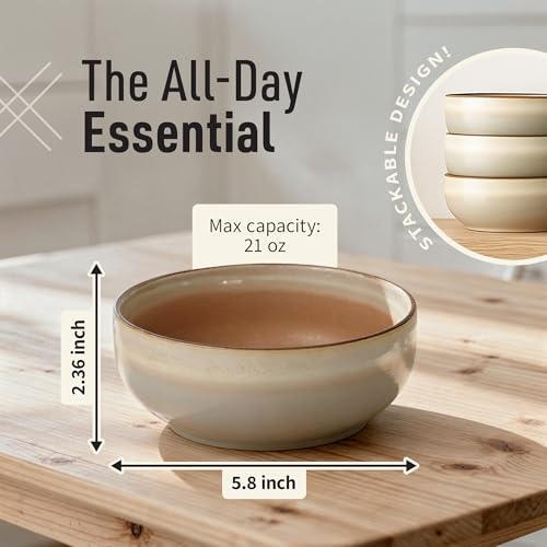 Stoneware Ceramic Cereal Bowls Set of 4 (4 Count)