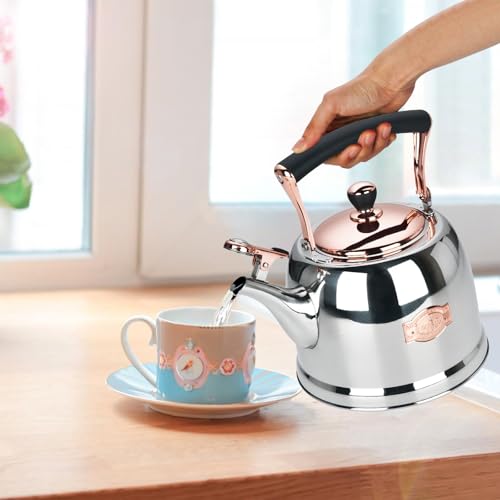 Tea Kettle Stainless Steel Teapot