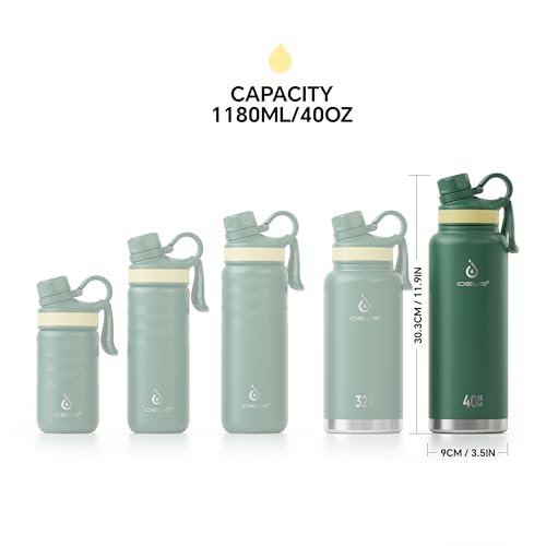 Insulated Stainless Steel Water Bottle with 2 Leak