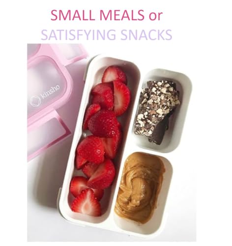 Small Snack Box Containers Kids Toddlers (2 Count)