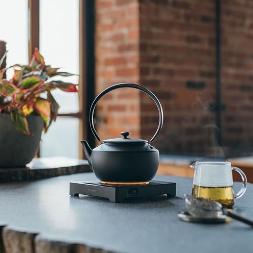 MoonKettle Electric Kettle with Temp Control