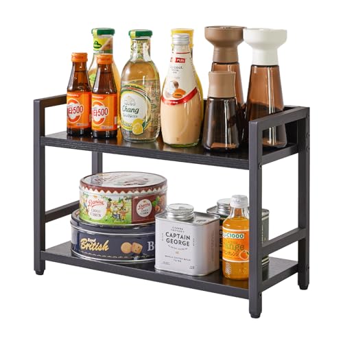 2 Tier Spice Rack