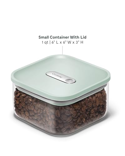 1 qt Glass Airtight Food Storage Container with Lid