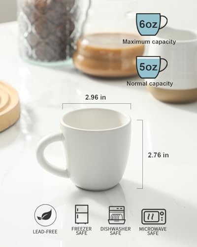 Ceramic Espresso Cups Set (4 Count)