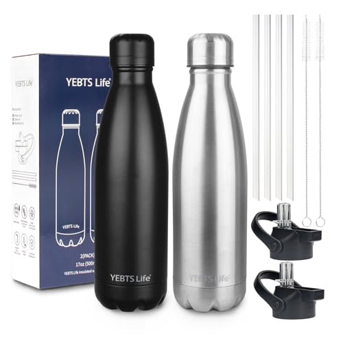 Insulated Water Bottle (2 Count)