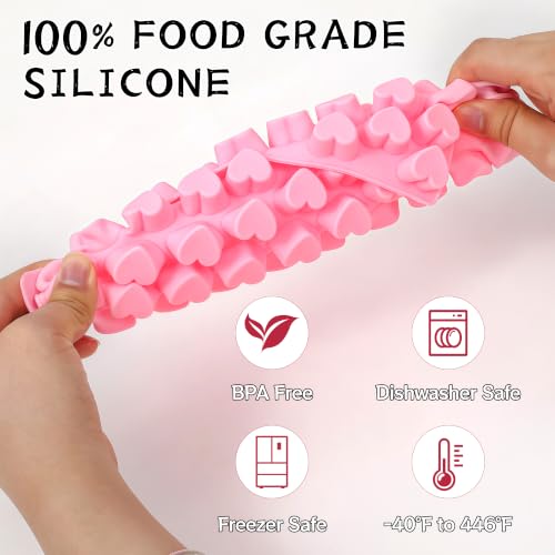 Heart Mini Silicone Gummy Molds with 1 Dropper