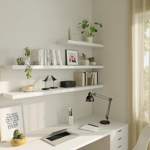 Floating Shelf (3 Count)
