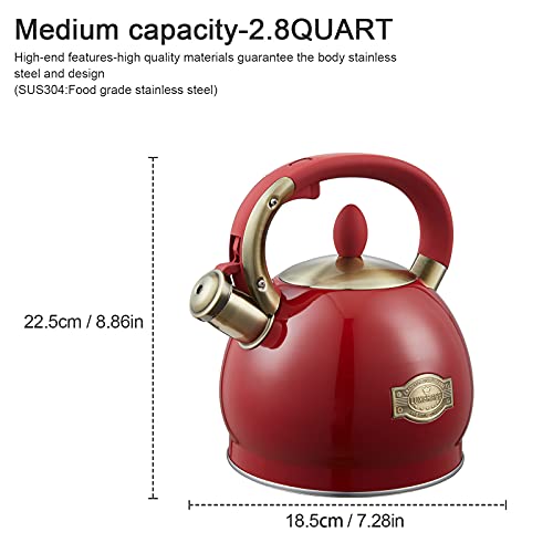 Tea Kettle 2.8 Quart Tea Kettles Stovetop Whistling Teapot Stainless Steel Tea Pots for Stove Top Whistle Tea Pot