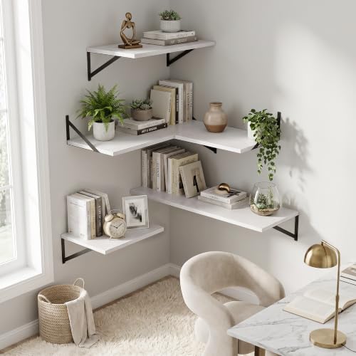 Wall Mounted Floating Shelves Set of 2 (2 Count)